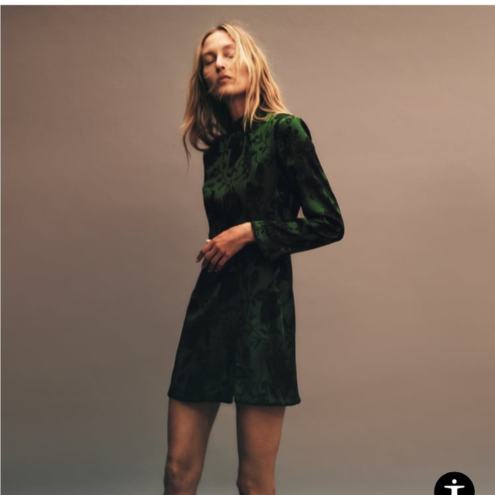Zara XS Jaquard dress